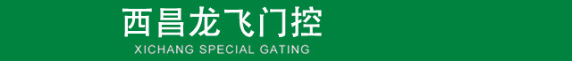 西昌市龙飞门控经营部