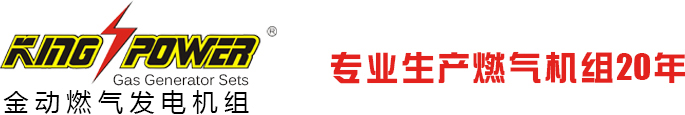 天燃气发电机组,沼气发电机组,煤层气发电机组,页岩气发电机组,供应生物质气发电机,瓦斯气发电机组生产商,页岩气发电机厂家,进口沼气发电机,沼气发电机价格,污水处理沼气发电机,养殖场沼气发电机,广东天燃气发电机,山东天燃气发电机组