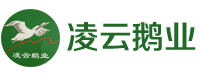 凌云鹅业,易县凌云,易县凌云鹅业有限公司