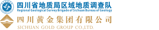 四川省地质局区域地质调查队（容大集团）