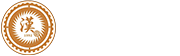 首页