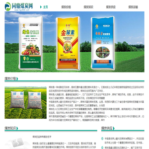 同鼎煤炭网