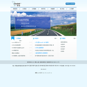 赛智（合肥）信息科技有限公司