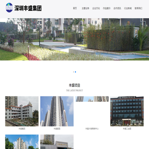 深圳市丰盛投资集团有限公司