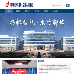 聊城高新控股集团有限公司
