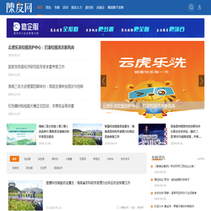 陈皮网